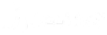 SeekSail logo